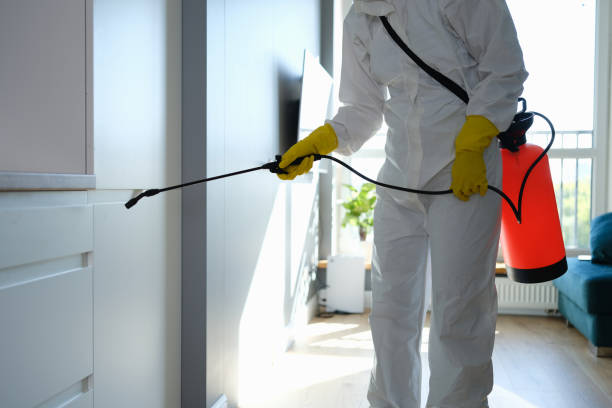 Best Office Mold Removal Services  in Forks, WA