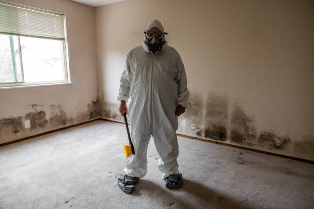 Best Mold Cleaning Services  in Forks, WA